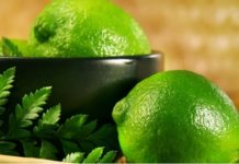 Вегетарианская диета или избавление от чревоугодия Вегетарианская диета или избавление от чревоугодия