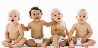 Диета в зависимости от типа темперамента Диета в зависимости от типа темперамента