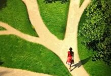 Диета 10 продуктов Диета 10 продуктов