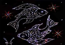 Рыбы (19 февраля — 20 марта) Рыбы (19 февраля - 20 марта)