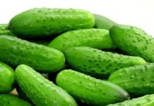 Огуречная диета Огуречная диета