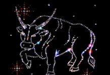 Телец (20 апреля — 20 мая) Телец (20 апреля - 20 мая)