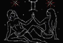 Близнецы (21 мая — 21 июня) Близнецы (21 мая - 21 июня)