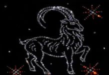 Козерог (22 декабря — 20 января) Козерог (22 декабря - 20 января)