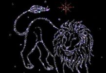 Лев (23 июля — 22 августа) Лев (23 июля - 22 августа)