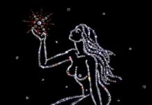 Дева (23 августа — 23 сентября) Дева (23 августа - 23 сентября)