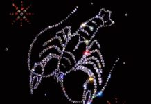 Рак (22 июня — 22 июля) Рак (22 июня - 22 июля)