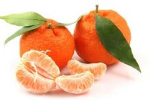 Мандариновая диета Мандариновая диета